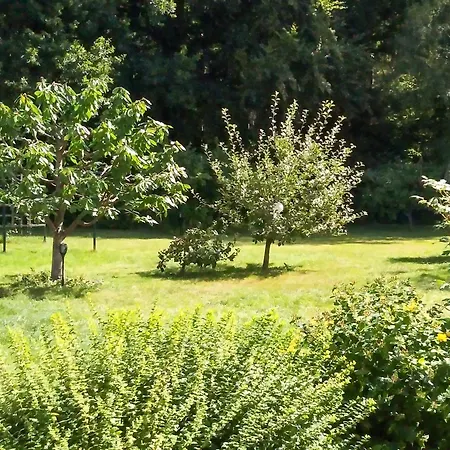Lejlighed Am Wald Todenhagen